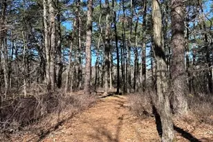 4005 Cleveland St, Toms River Township, NJ 08755 - Photo 46