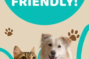 2401 Xanadu Lane, Wall Township, NJ 07719 - Photo 26