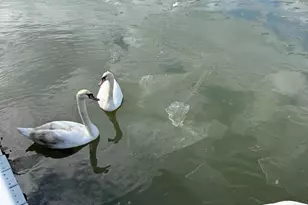 133 N Ensign Dr, Little Egg Harbor, NJ 08087 - Photo 34