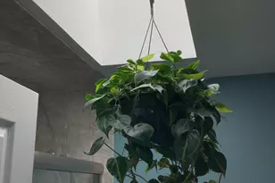 2 Exitir St, Toms River Township, NJ 08757 - Photo 32