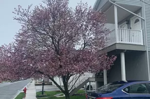 911 Harris Ave, Union Beach, NJ 07735 - Photo 28