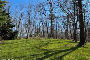 785 Green Valley Rd, Jackson, NJ 08527 - Photo 60