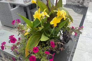 321 Stephan Ave, Toms River Township, NJ 08753 - Photo 68