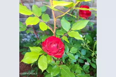 504 Emory Street #Unit 2, Asbury Park, NJ 07712 - Photo 34