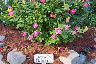 504 Emory St, Asbury Park, NJ 07712 - Photo 32