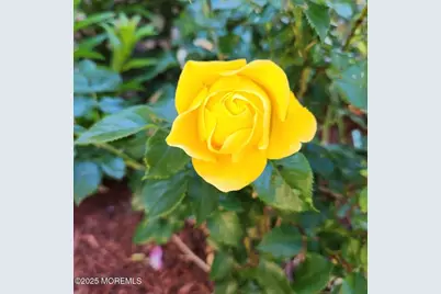 504 Emory Street #Unit 2, Asbury Park, NJ 07712 - Photo 30