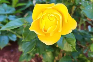 504 Emory St, Asbury Park, NJ 07712 - Photo 30