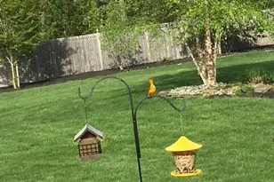 1820 Perth Amboy Ave, Whiting, NJ 08759 - Photo 36