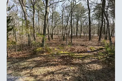 16 Pinewood Drive, Little Egg Harbor, NJ 08087 - Photo 6