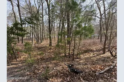 16 Pinewood Drive, Little Egg Harbor, NJ 08087 - Photo 4