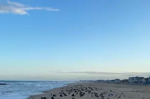 119 14th Ave, Belmar, NJ 07719 - Photo 24