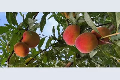 111 Valley Avenue, Highlands, NJ 07732 - Photo 12