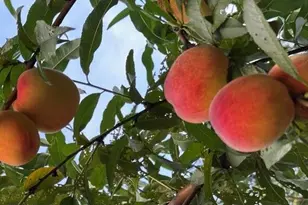 111 Valley Ave, Highlands, NJ 07732 - Photo 44