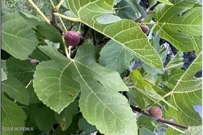 111 Valley Avenue, Highlands, NJ 07732 - Photo 14