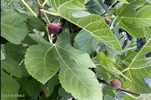 111 Valley Ave, Highlands, NJ 07732 - Photo 14