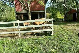 857 Monmouth Rd, Cream Ridge, NJ 08514 - Photo 8