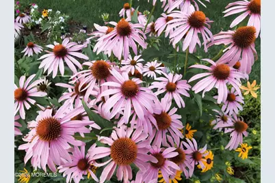 93 N Sunnycrest Drive, Little Silver, NJ 07739 - Photo 10