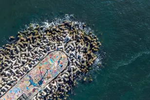 565 Trout Ave, Manasquan, NJ 08736 - Photo 34