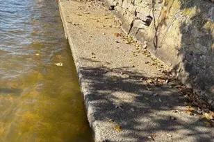 130 Camp Meeting Ave, Island Heights, NJ 08732 - Photo 20