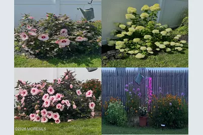 110 Dollmore Avenue, Waretown, NJ 08758 - Photo 44