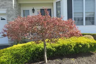 407 Edinburgh Pl, Marlboro Township, NJ 07746 - Photo 72