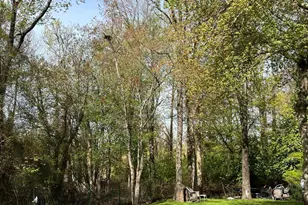 2 Warren Pl, Bay Head, NJ 08742 - Photo 6