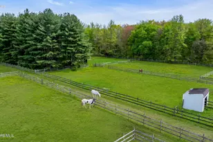 10 Daum Rd, Manalapan Township, NJ 07726 - Photo 16