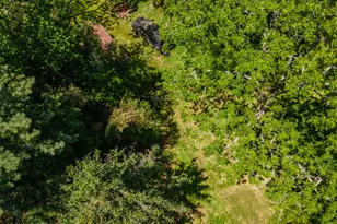 6 Evergreen Dr, Jackson, NJ 08527 - Photo 34