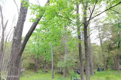 6 Evergreen Drive, Jackson, NJ 08527 - Photo 16