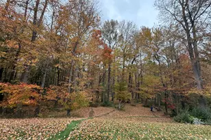 13 Palmer Cir, Millstone Township, NJ 08535 - Photo 78