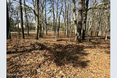 17 Pinewood Drive, Little Egg Harbor, NJ 08087 - Photo 2