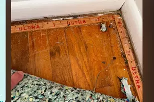 12 Hollywood Blvd N, Forked River, NJ 08731 - Photo 36