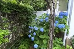 69 Foster St, Red Bank, NJ 07701 - Photo 50