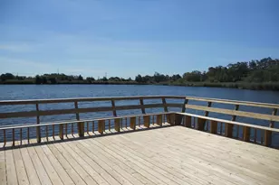 126 E Holly Ln, Little Egg Harbor, NJ 08087 - Photo 34