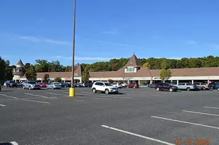 14 Homestead Ln, Roosevelt, NJ 08555 - Photo 22