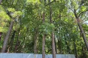 11 Citation St, Howell Township, NJ 07731 - Photo 6