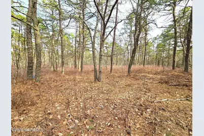 17 Birchwood Drive, Tuckerton, NJ 08087 - Photo 2