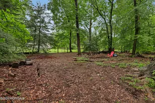 31 Magnolia Ave, New Egypt, NJ 08533 - Photo 46