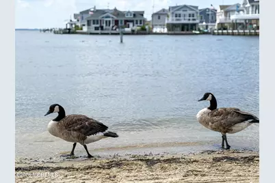 34 E Tarpon Way, Lavallette, NJ 08735 - Photo 34