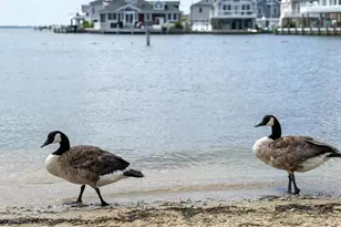 34 E Tarpon Way, Lavallette, NJ 08735 - Photo 34