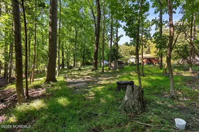 299 Metedeconk Trail, Jackson, NJ 08527 - Photo 8