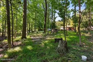 299 Metedeconk Trail, Jackson, NJ 08527 - Photo 8