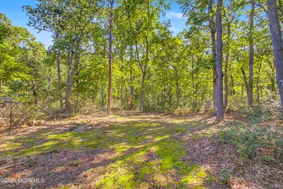46 Hopkins Road, New Egypt, NJ 08533 - Photo 42
