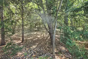 334 Millstone Rd, Millstone Township, NJ 08510 - Photo 10