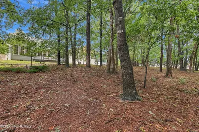 33 Valley Stream Place, Barnegat, NJ 08005 - Photo 4