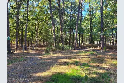 497 Main Street, West Creek, NJ 08092 - Photo 8