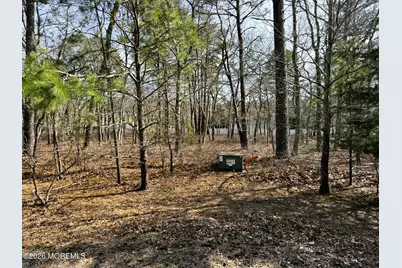 16 Pinewood Drive, Little Egg Harbor, NJ 08087 - Photo 1
