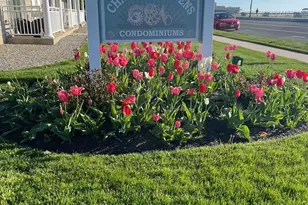 205 Ocean Ave, Belmar, NJ 07719 - Photo 1