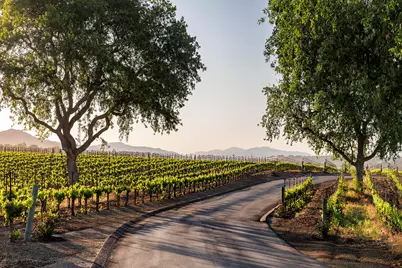 1620 Westerly Road, Santa Ynez, CA 93460 - Photo 38