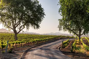 1620 Westerly Rd, Santa Ynez, CA 93460 - Photo 38